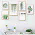Tru Fern™ Forest Art Canvas